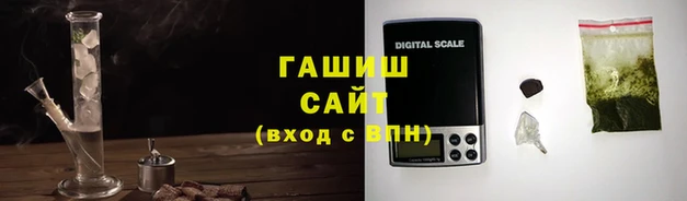 крисы Алзамай
