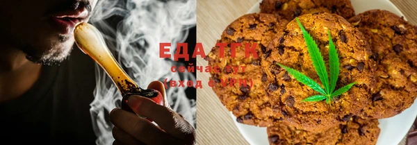 крисы Алзамай