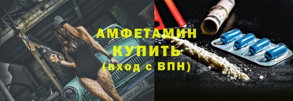 крисы Алзамай