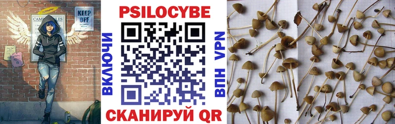 omg как зайти Конаково Псилоцибиновые грибы Psilocybine cubensis где купить наркоту
