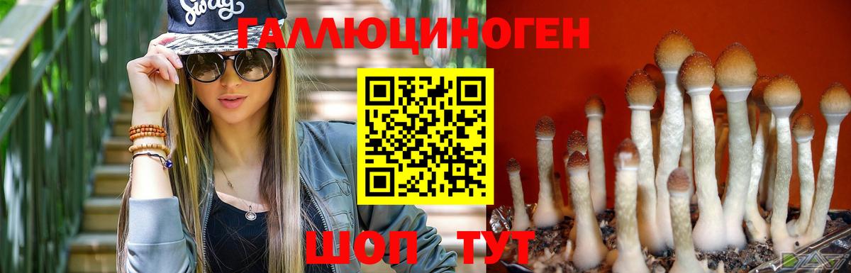 Галлюциногенные грибы мухоморы Конаково